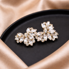 Radiance Heart Crystal Clip (Pair)